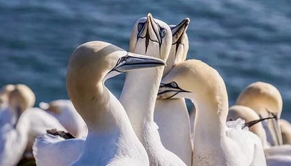 象山最新的高价医保卡惠民保险代扣怎么取消掉了方法分享(象山惠民医保怎么报销教程)