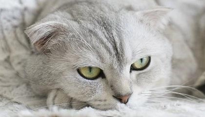 象山最新的高价医保个人账户余额微信查询方法分享(象山医保查询个人账户明细怎么查微信教程)