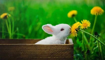 象山最新的高价医保卡惠民保险代扣怎么取消掉了方法分享(象山惠民医保怎么报销教程)